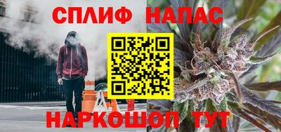 крисы Шахты