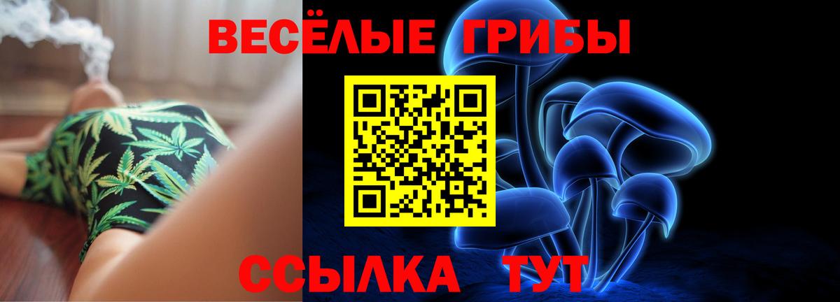 Псилоцибиновые грибы Cubensis Лысьва